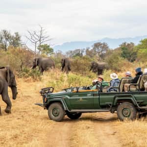 9-Day Luxe South African Safari & Cape Town Flight, Hotel & Tour Vacation at Platinum Holidays: From $2,999 per person