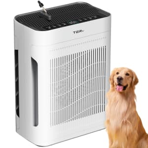 Air Purifier for Large Rooms for $46 Air Purifier for Large Rooms for $46