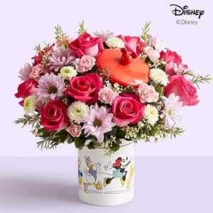 Disney Mother's Day Collection at 1-800-Flowers: 25% off