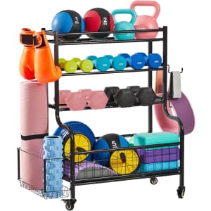 True & Tidy Dumbbell Storage Rack & Stand for $70