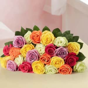 Two Dozen Assorted Roses at 1-800-Flowers: from $35