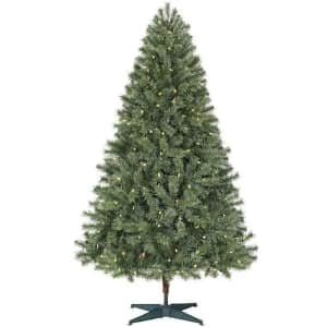 Home Accents Holiday Festive Pine 6.5-Foot Pre-Lit Color-Changing Artificial Christmas Tree for $40 Home Accents Holiday Festive Pine 6.5-Foot Pre-Lit Color-Changing Artificial Christmas Tree for $40