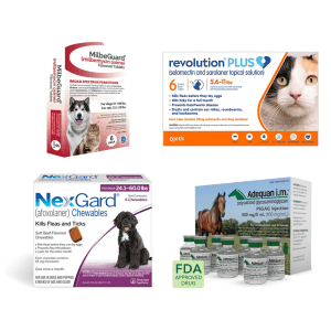 Chewy Pharmacy Fall Sale: $20 off orders of $49 or more Chewy Pharmacy Fall Sale: $20 off orders of $49 or more