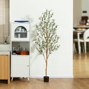 6-Foot Artificial Olive Plant for $40