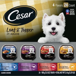 Cesar Loaf & Topper Wet Dog Food 24-Pack for $29