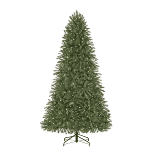Home Accents Holiday 7.5-Foot Maysville Pine Pre-Lit Artificial Christmas Tree for $79