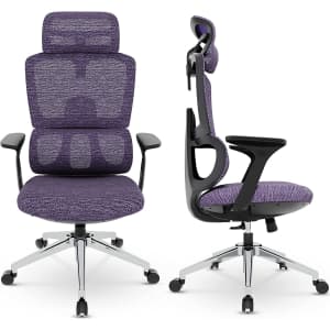 Dripex Ergonomic Mesh Office Chair for $200