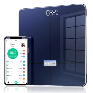 Anyloop Smart Scale for $15
