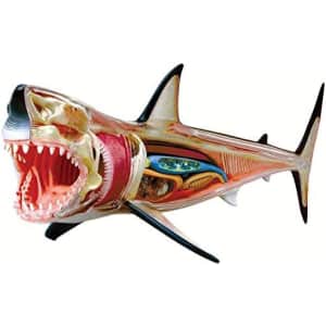 Tedco 4D Vision Great White Shark Puzzle for $17