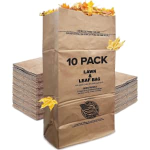 Kraft Eco-Friendly 30-Gallon Lawn and Leaf Bags 10-Pack. That's a savings of $3 over typical prices elsewhere.