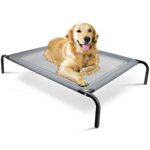 Elevated Dog Bed Lounger for $18