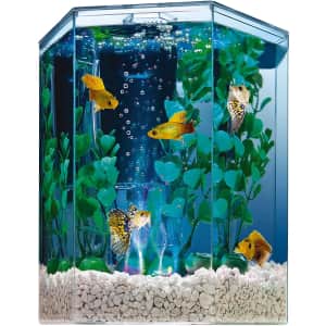 Tetra 1-Gal. Bubbling LED Aquarium Kit for $20