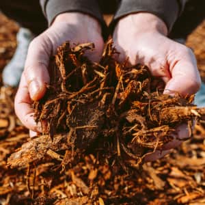 5 Deals You Need to Know Today