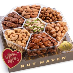 Nut Haven Large Nuts Gift Basket for $20