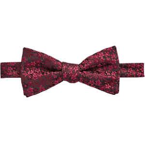 Egara Orange Pre-Tied Bow Tie for $8 Egara Orange Pre-Tied Bow Tie for $8