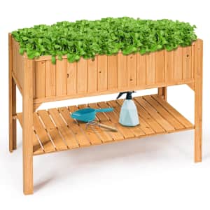 Plants & Planters Deals at Walmart: Up to 80% off