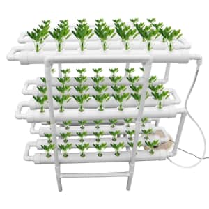 Luna's Elegant Home Upgraded Hydroponic Unit for $120 Luna's Elegant Home Upgraded Hydroponic Unit for $120