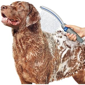 WaterPik Pet Wand Pro Dog Shower Attachment for $37