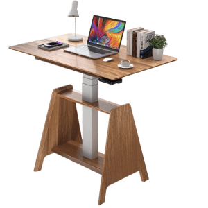 Adjustable Standing Desk for $369