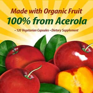 Nature's Way Alive! Fruit Source Vitamin C, Made with Organic Acerola, 120 Count for $22