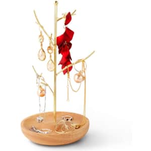 Inmorven Jewelry Organizer for $10