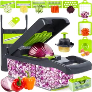 10-in-1 Vegetable Chopper for $17
