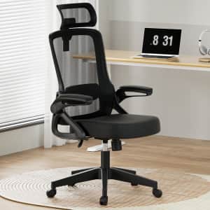 Zelimon Ergonomic Office Chair for $60