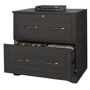 Realspace Pelingo 31" 2-Drawer File Cabinet for $100