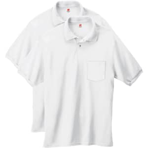Hanes Men's EcoSmart Polo Shirt 2-Pack for $13