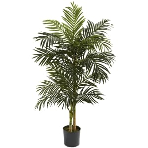 Nearly Natural 5-Foot Golden Cane Palm Tree for $66