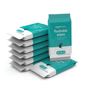 Amazon Basics 42-Count Flushable Adult Toilet Wipes 8-Pack for $9.75 via Sub & Save