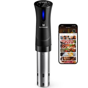 BlitzHome 1,100W Sous Vide Cooker for $44