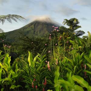 8-Night Costa Rica Flight, Hotel, & Safari Tour Vacation at ShermansTravel: From $2,798 for 2