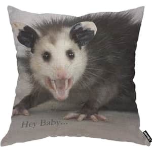 Hey Baby Opossum Throw Pillow for $10