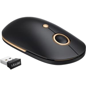 Lizrrot Wireless Mouse for $5