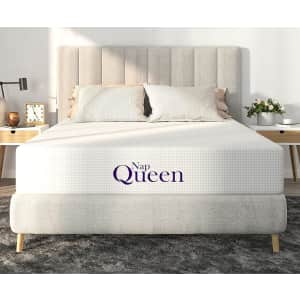 NapQueen 8" Bamboo Charcoal Full Size Memory Foam Mattress for $138