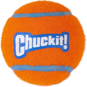 ChuckIt! Tennis Ball 2-Pack for $2