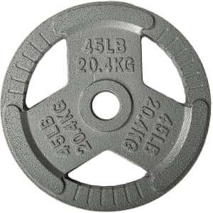 Signature Fitness 45-lb. Weight Plate for $47