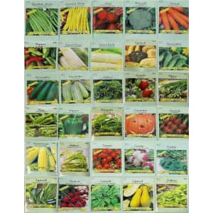 Valley Greene Heirloom Non-GMO Vegetable Garden Seeds 30-Pack for $12