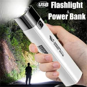 Ultra Bright 2-in-1 LED Flashlight / USB Power Bank: 2 for $12