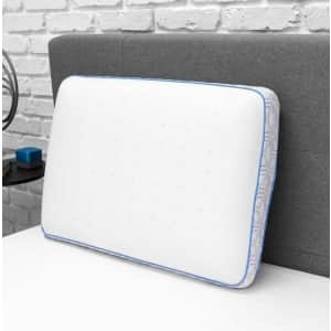 Home Decorators Collection Cooling Gel Memory Foam Jumbo Pillow for $40