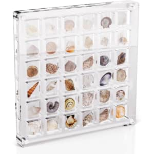 36-Grid Acrylic Magnetic Seashell Display Box for $6