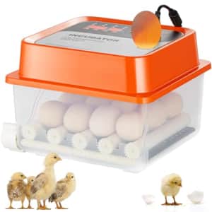 Vevor 12-Egg Incubator for $10