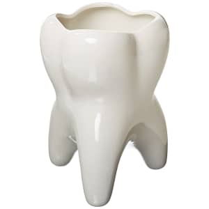 Practicon Molar Vase for $16