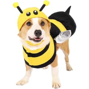 Dog Bee Costume for $20