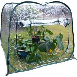 Zenport 4x4-Foot Portable Pop-Up Greenhouse for $70