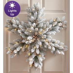 1-800-Flowers Snowflake Spectacular 32" Pre-Lit Door Decor for $30