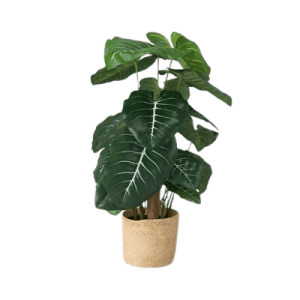Threshold 28" Artificial Dasheen Plant for $16