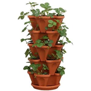 Mr. Stacky 5-Tier Strawberry Planter Pot for $28 Mr. Stacky 5-Tier Strawberry Planter Pot for $28