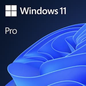 Microsoft Windows 11 Pro Lifetime License for $25